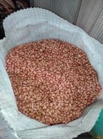 Bold Type Peanuts 38/42, 40/50, 50/60, 60/70 Counts/Ounce