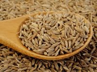 Cumin Seed