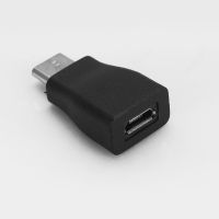 Type C Male to Type A Female Adapter