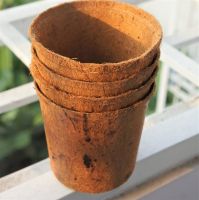 Eco-friendly Coconut Coir Pots Best Price And High Quality From 99 Gold Data