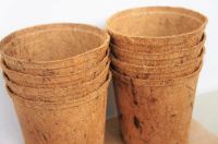 Eco-friendly Coconut Coir Pots Best Price And High Quality From 99 Gold Data