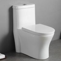 Factory Direct Sale Sanitary Ware WC Water Closet Siphon S-trap Toilet for Hotel