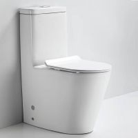 Bathroom Sanitary Ware Ceramics WC Washdown Rimless One Piece Toilet