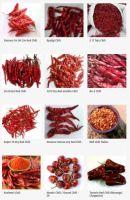 Dry red chilli. Teja chilli, Byadgi chilli, S17 teja chilli, Sannam S4 red chilli,273 chilli