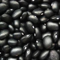Kidney Beans/ Buy Cheap Black Kidney Beans