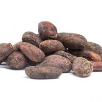  high grade dried raw cocoa beans for sale