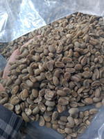 Raw Coffee Beans
