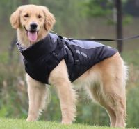Dog Windproof Coat 