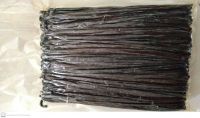 Vanilla Beans