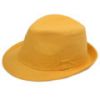 Canvas Fedora Hat