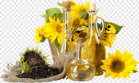 Quality Edible Sun Flower oil for sale