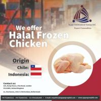 Halal Frozen Chicken