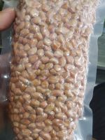 Shelled Groundnut kernel
