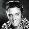 https://jp.tradekey.com/product_view/Any-Thing-Elvis-Presley-432248.html