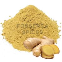 Ginger Powder 100% Purity High Quality Origin Indonesia Fosserca Spices