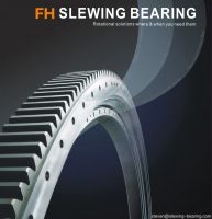 slewing bearing  from china