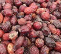 Dried canina hips / Eglantine fruit