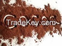 cocoa powder