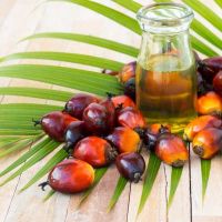 Palm Kernel Oil