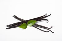 Vanilla Bean Planifolia Gourmet Grade A