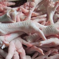 Fresh High Quality Halal Chicken Feet Frozen Chicken Paws