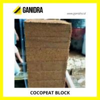 Cocopeat Block Offer From Indonesia