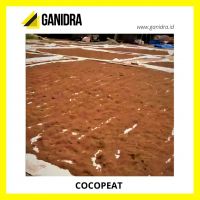 Cocopeat Offer From Indonesia