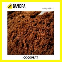 COCOPEAT offer from Indonesia