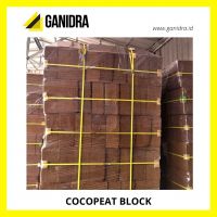 Cocopeat Block Offer From Indonesia