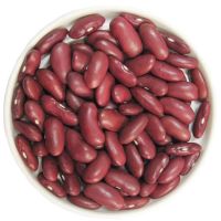 Red kidney beans are a wholesale provider of high-quality red kidney beans 