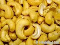 Selling Cashew Nuts
