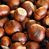 Selling Healthy Chestnuts