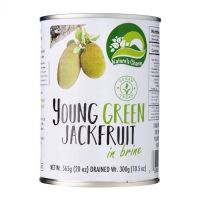 Selling Young Green Jackfruit In Brine 565g