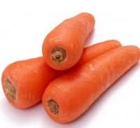 Wholesale fresh vegetables carrots other fresh vegetables fresh carrots