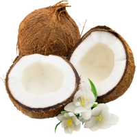 Good quality Semi Husked Coconut / Dried Coconut / Old Coconut from UK