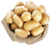 Best Quality Fresh Yellow-skinned Potatoes Newly Cultivated In UK In 2022