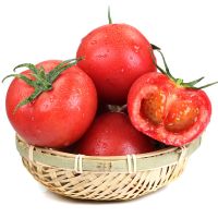 Fresh Cherry Quality Tomato, Fresh Plum Tomatoes for Sale.