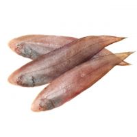 Wholesale Whole Fresh Frozen Tongue Sole Fish