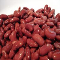 Wholesale 400G Canned Red Kidney Beans in Good Price