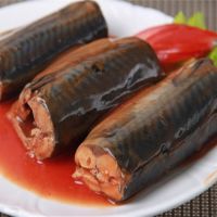 Factory price canned Mackerel in water/oil/tomato sauce 425g