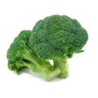 Wholesale Frozen Brocoli Vegetable Fresh Broccoli Price