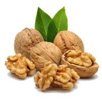 Top Quality Cheap Halves Walnuts , Walnut Kernel, Walnuts Without Shell