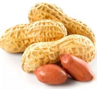 High Quality UK Dried New Crop Peanuts Kernel Without Shell