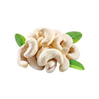 Cashew Nut Kernels/Cashew Nut W240, W320, Splits!