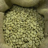 Hot Selling Ethiopian Arabica And Robusta Green Coffee Beans