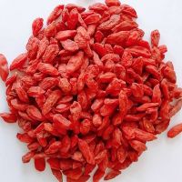 Hot selling high quality Organic Goji Berries Dried Chinese Red Wolfberry