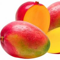 Farm mangoes Honey Mangoes Green and Yellow Mangoes For Sale