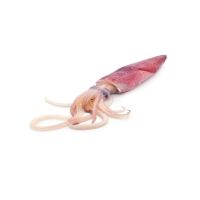 Factory Price IQF Squid Wing Flower Calamari Squid Frozen Seafood