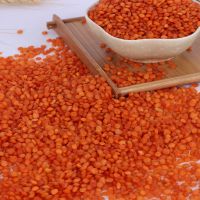 Wholesale High Quality green lentils beans/ Red Lentils/ Yellow Lentils