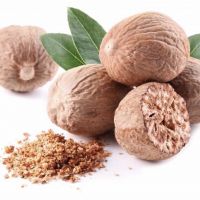 wholesale spice dried Nutmeg without shell